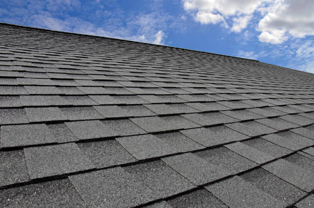 Best Roof Maintenance and Cleaning  in Woodbine, GA